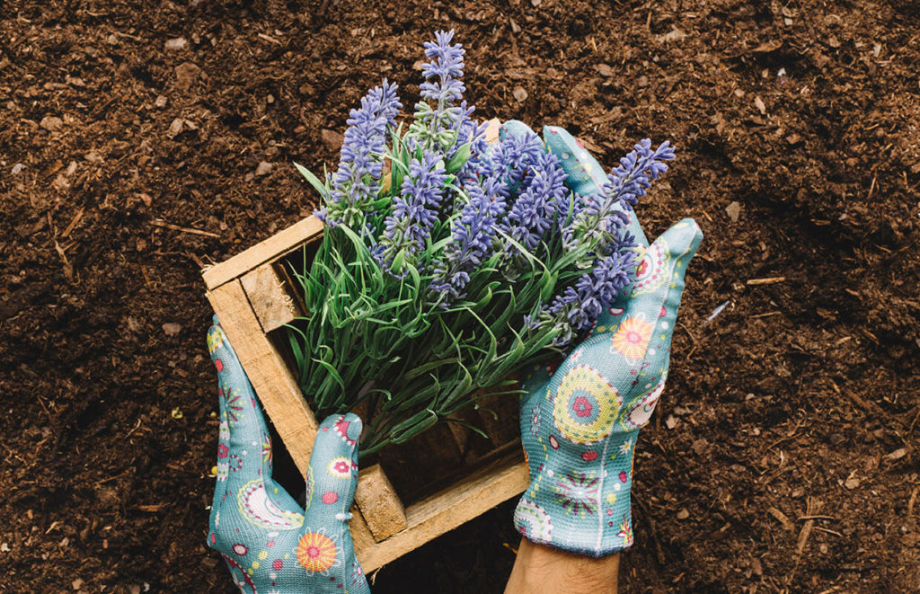 home_garden3_portfolio9 home_garden3_portfolio9